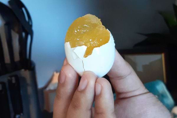 Un œuf congelé, tenu à la main avec une partie de la coquille retirée.