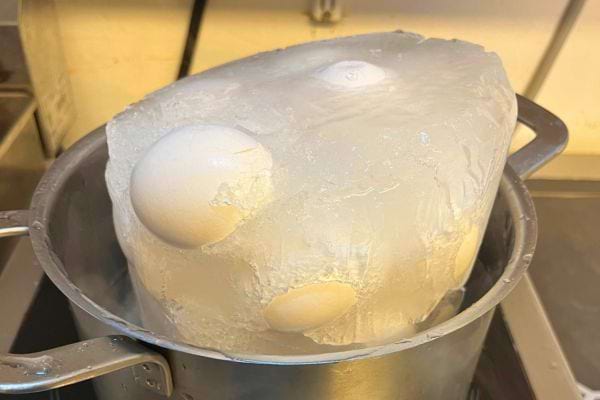 Des œufs congelés dans un bloc de glace dans une casserole.