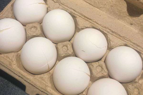 Plusieurs œufs fissurés dans une boîte en carton.