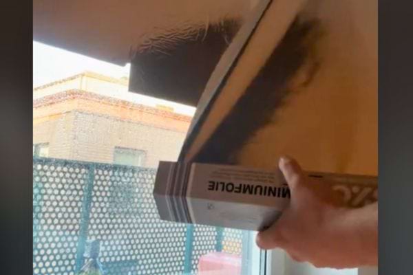 Personne ajuste une feuille d'aluminium contre une fenêtre.
