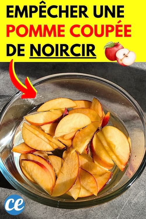 Une pomme coupée en morceaux dans du jus de citron pour la conserver sans noircir