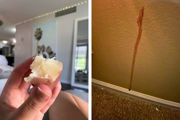 Pomme de terre et longue trace brune sur un mur.