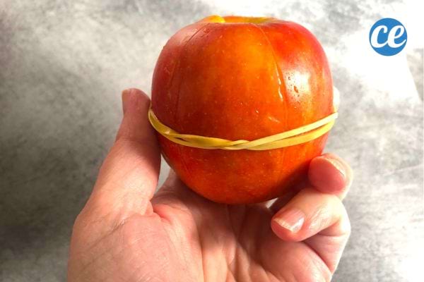 Pomme entière maintenue par un élastique.