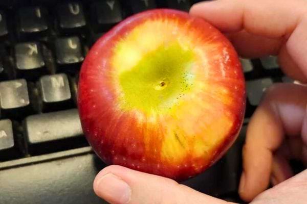 Pomme rouge et jaune avec une tache verte.