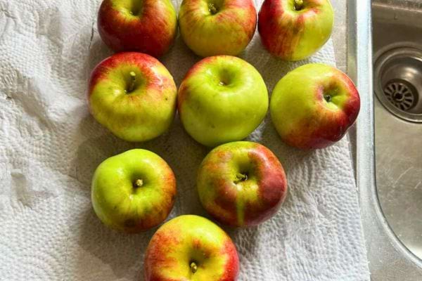 Pommes vertes et rouges posées sur une serviette.