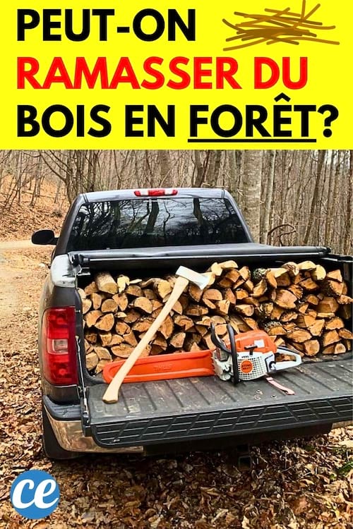 Une voiture avec du bois qui a été ramassé au bord de la route dans une forêt