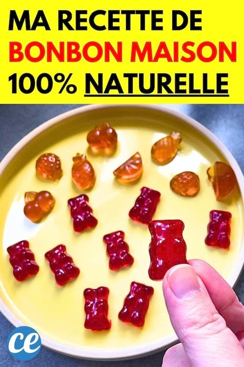 Mes bonbons fait maison naturels en forme de nounours de couleur rouge