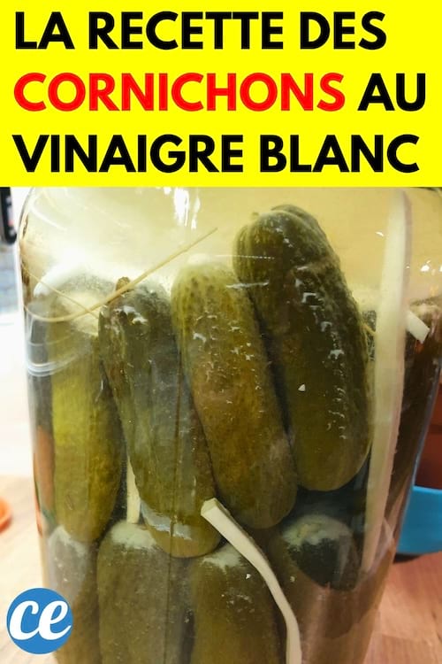 Un bocal en verre remplie de cornichons 