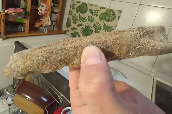 Un saucisson sec tenu par une main, recouvert de moisissure.