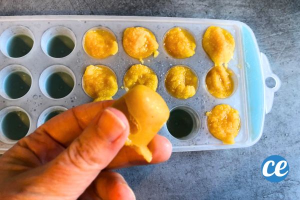Peut-on Congeler de la Compote de Pommes Facilement
