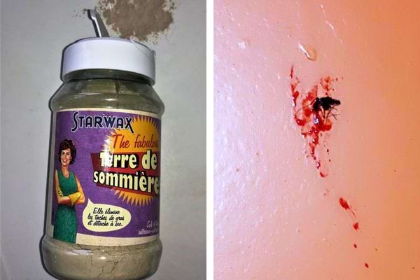 Terre de Sommière et insecte écrasé sur un mur.