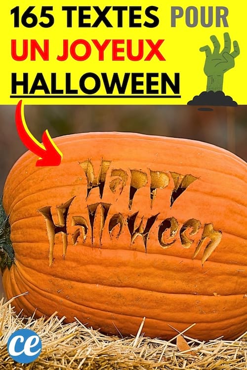 une citrouille orange où il est marqué Happy halloween