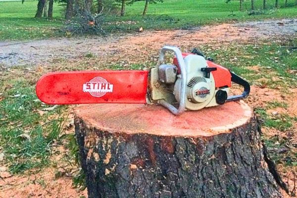 Tronçonneuse Stihl posée sur un tronc d’arbre.
