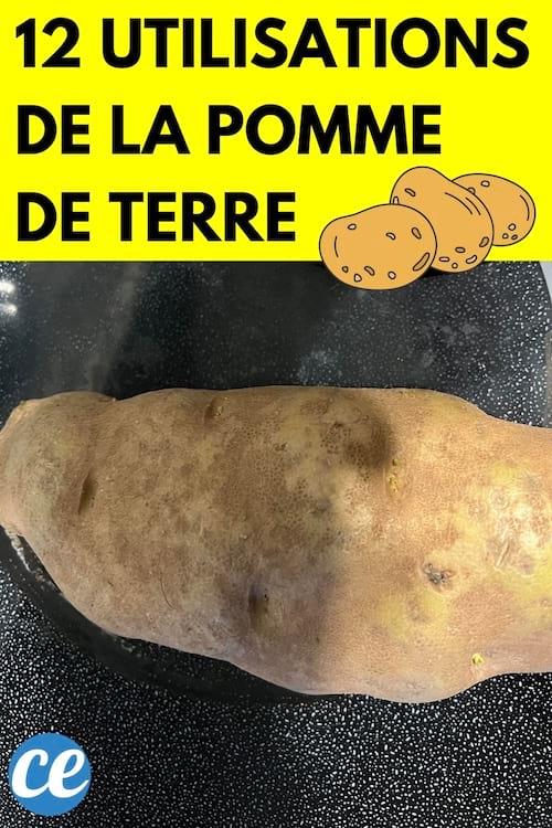 Une pomme de terre sur une assiette en verre 