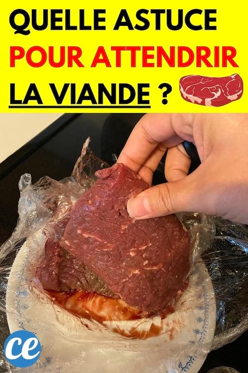 Une personne tenant un morceau de viande