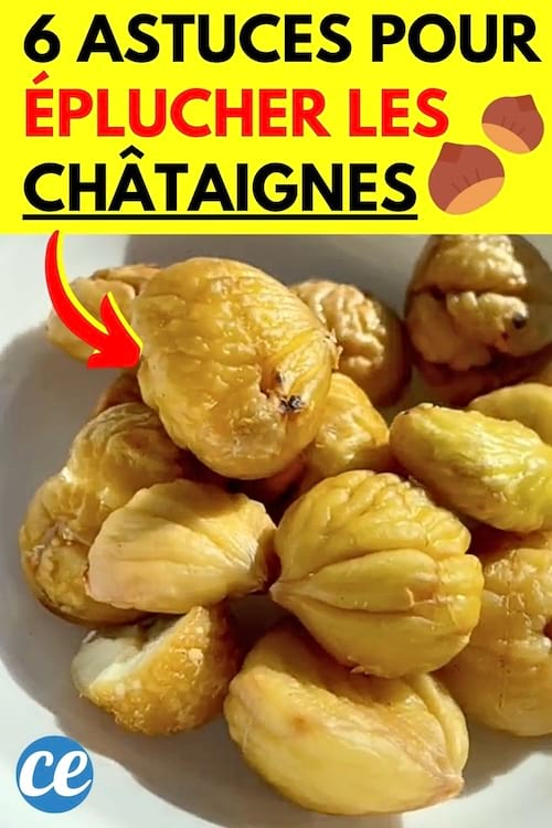 Des châtaignes qui ont été épluchées en quelques minutes avec une astuce