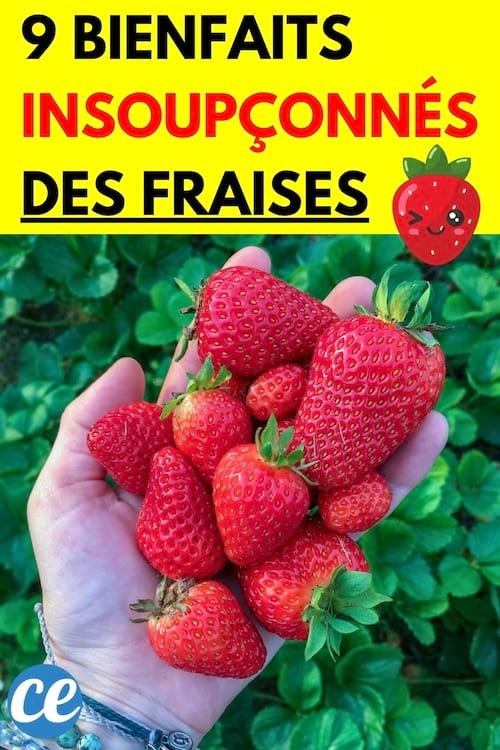 Une personne blanche ayant des fraises dans sa main