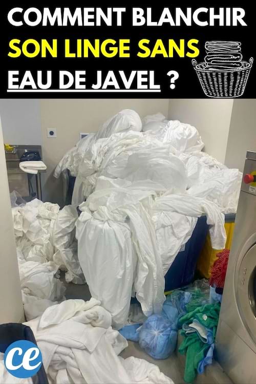 Du linge blanc dans une buanderie en pagaille