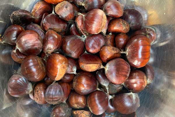 Châtaignes crues dans un bol en métal.