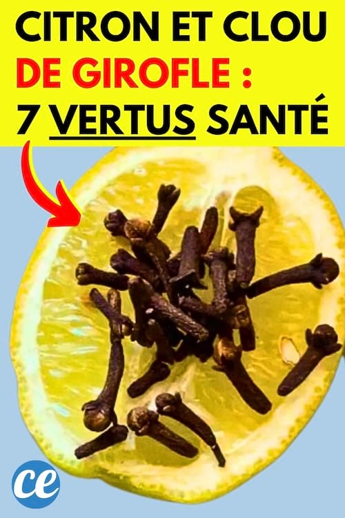 Un citron avec des clous de girofle dessus qui a plein de bienfaits