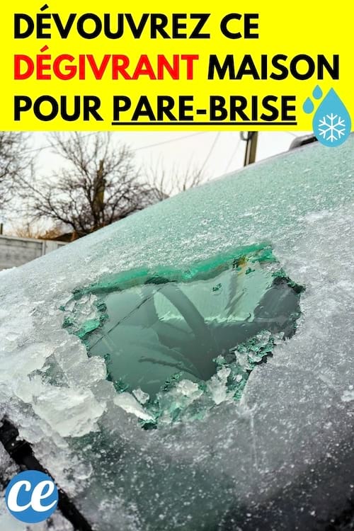 Pare-brise gelée dégivré