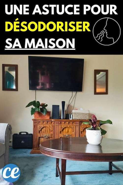 Un salon avec une table basse et une plante