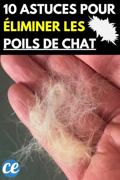 Une personne ayant des poils de chat dans une main