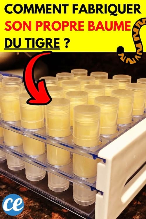 Plusieurs petits pot de baume de tigre faits maison