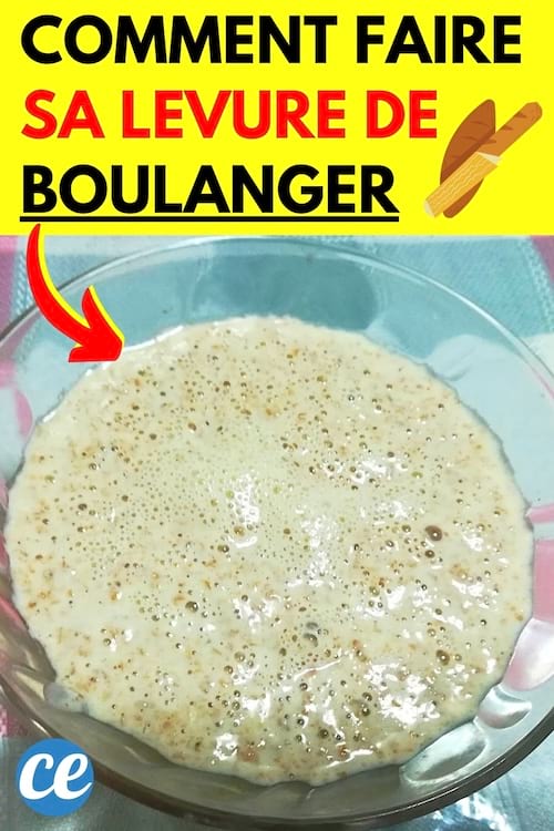 De la Levure de boulanger qui a été faite maison avec la recette facile
