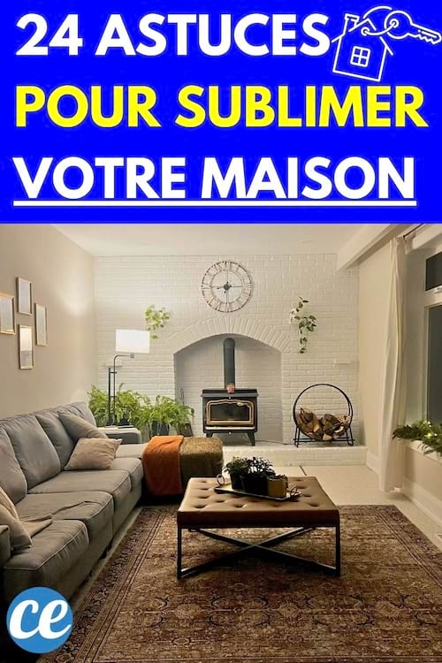 Un salon lumineux mit en ordre et bien décoré
