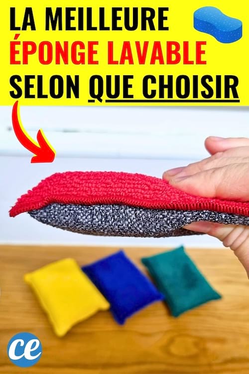La meilleure éponge lavable Inga dans une main