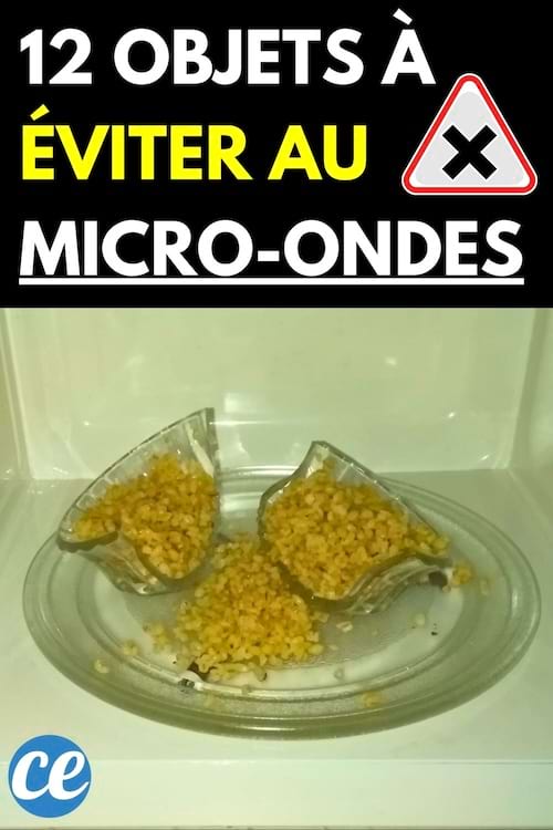 Un objet en verre cassé avec de la nourriture à l'intérieur dans un four à micro-ondes