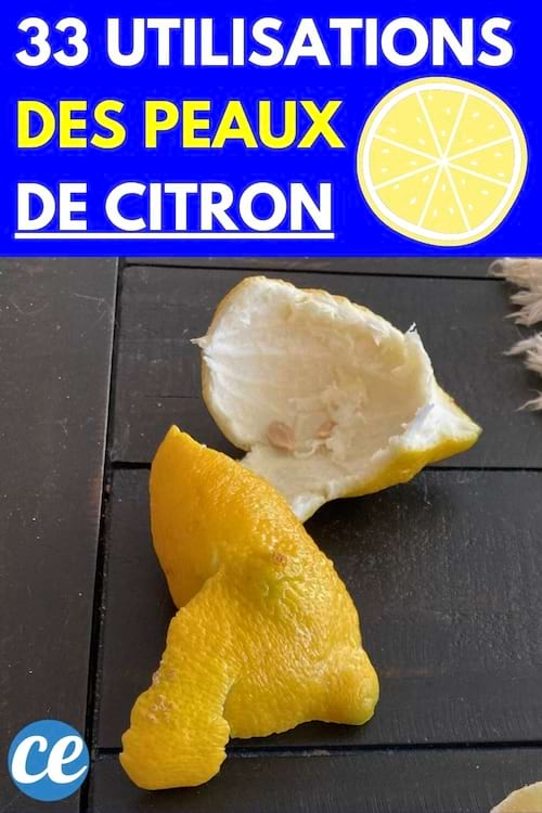 Peaux de citron découpées