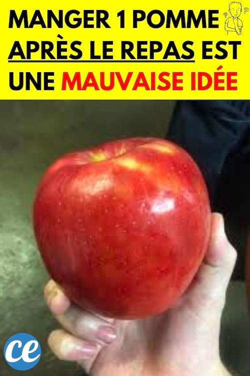 Une personne tenant une pomme rouge dans sa main