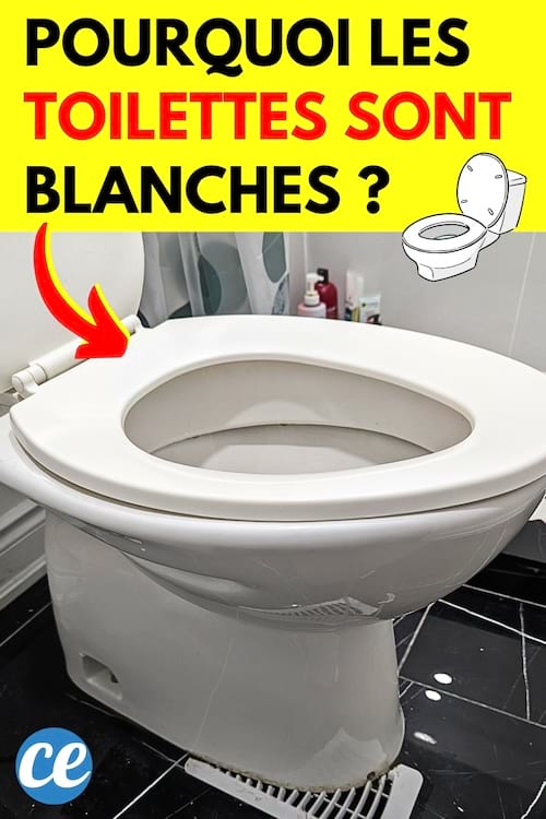Des toilettes dans une salle de bain qui sont blanches