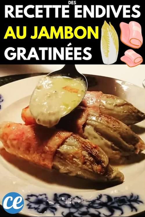Des endives au jambon gratinées