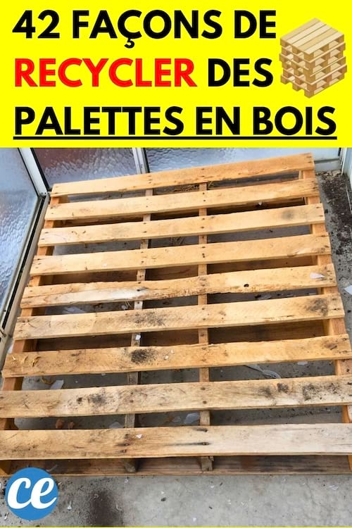 Une palette en bois neutre