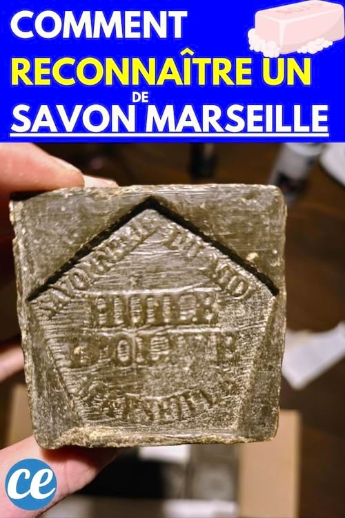 Une personne tenant un savon de Marseille carré vert