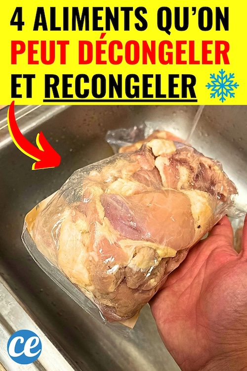 Ces aliments que l'on peut décongeler et recongeler sans risque pour la — free download