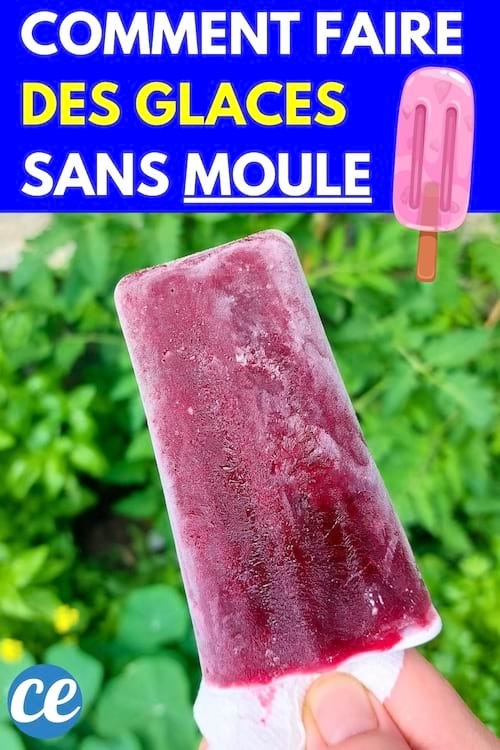 Personne qui tient dans sa main une glace à l'eau faite maison sans moule 