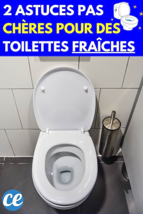 Toilette propre ouverte dans une salle carrelée avec une brosse WC en métal placée à droite