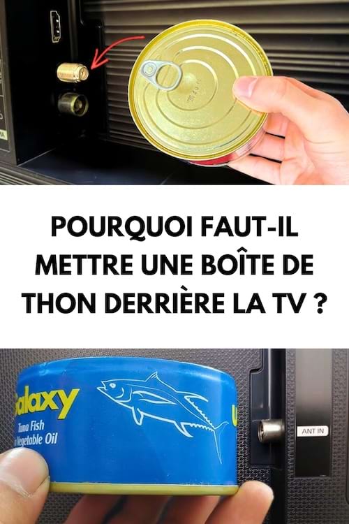 Une boîte de thon mise derrière la télé pour améliorer la réception