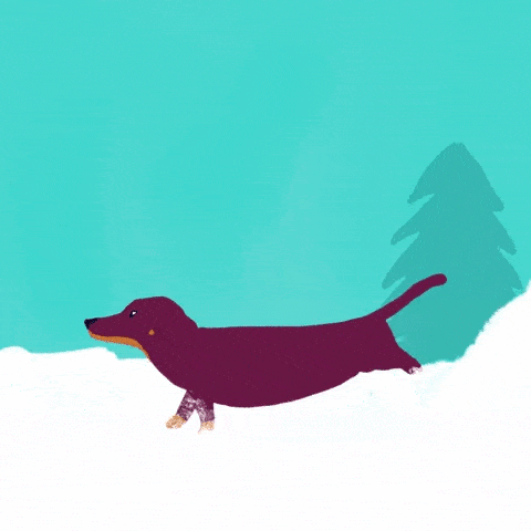 Un chien qui fonce dans un bonhomme de neige