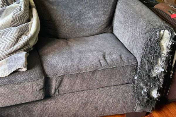 Canapé gris déchiré avec des signes de griffures.