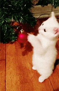 Un chat blanc qui joue avec une boule de déco de Noel rouge sur un sapin