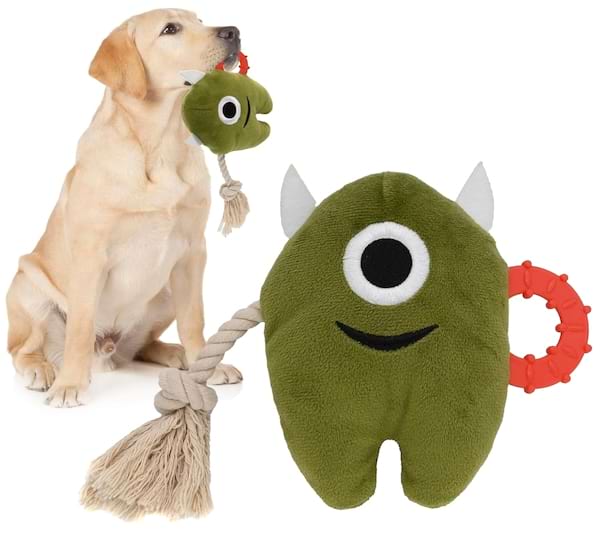 jouet pour chien pas cher