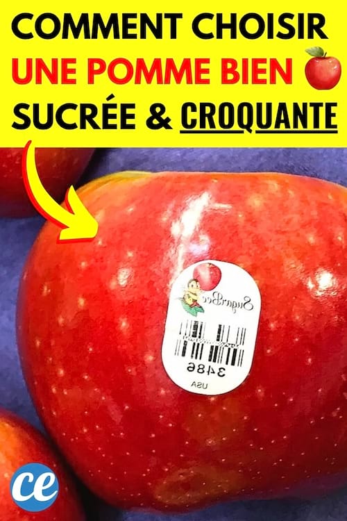 Une pomme rouge qui est bien sucrée et croquante