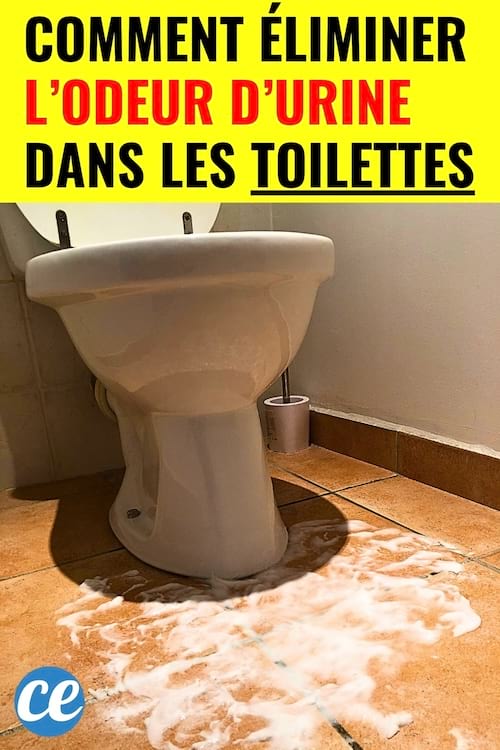 Des toilettes qui sont nettoyées avec de la mousse pour enlever l'odeur d'urine