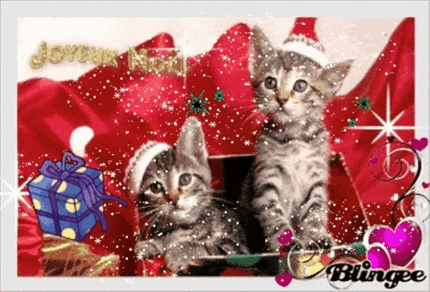 Deux chats père Noel gif