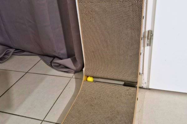 Porte équipée d'un griffoir intégré et une balle jaune.